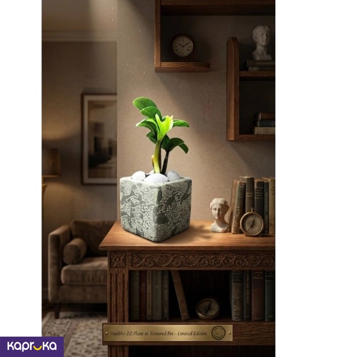 Home Decor and Accessories ef_pc_home0v2762pod00080 in Sri Lanka