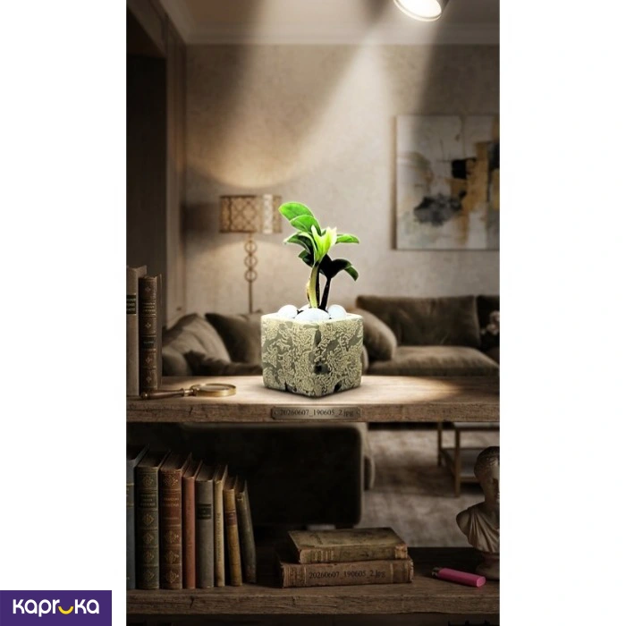 Home Decor and Accessories ef_pc_home0v2762pod00080 in Sri Lanka