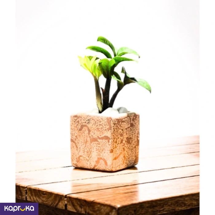 Home Decor and Accessories ef_pc_home0v2762pod00081 in Sri Lanka