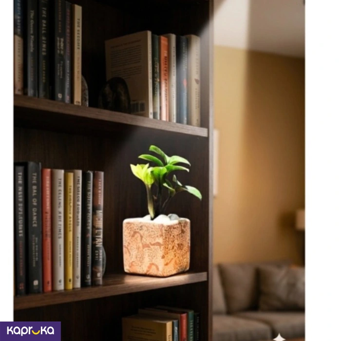 Home Decor and Accessories ef_pc_home0v2762pod00081 in Sri Lanka