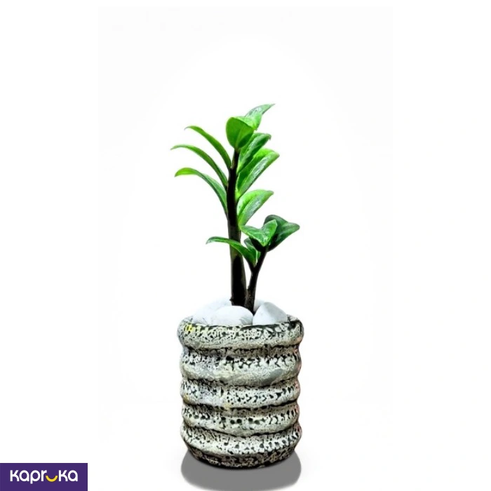 Home Decor and Accessories ef_pc_home0v2762pod00083 in Sri Lanka
