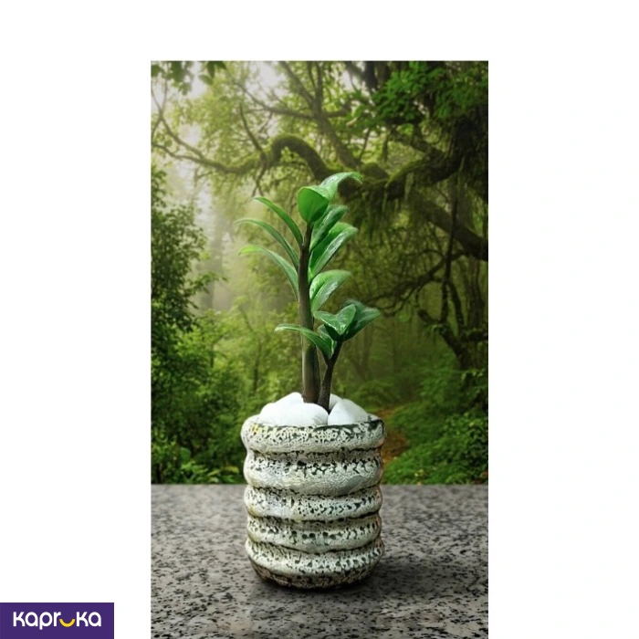 Home Decor and Accessories ef_pc_home0v2762pod00083 in Sri Lanka