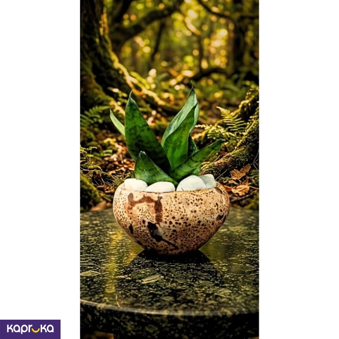 Home Decor and Accessories ef_pc_home0v2762pod00084 in Sri Lanka