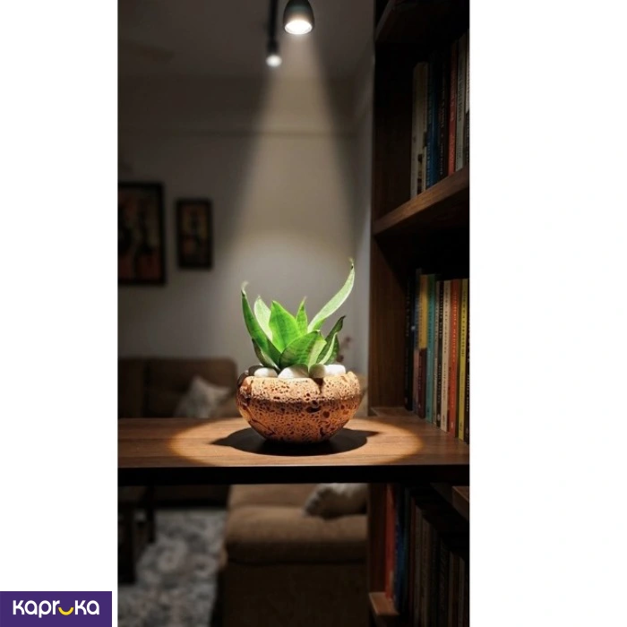 Home Decor and Accessories ef_pc_home0v2762pod00084 in Sri Lanka
