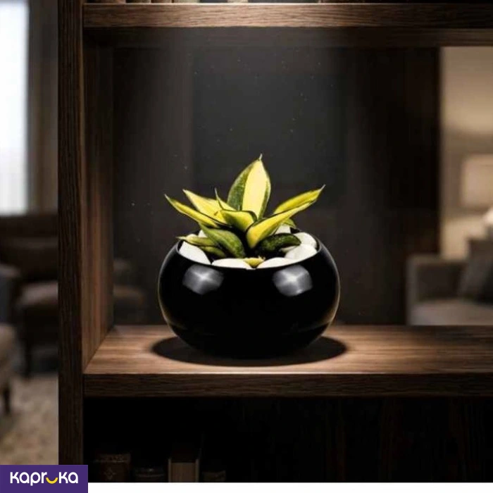 Home Decor and Accessories ef_pc_home0v2762pod00089 in Sri Lanka
