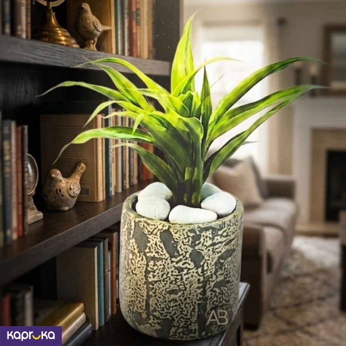 Home Decor and Accessories ef_pc_home0v2762pod00090 in Sri Lanka