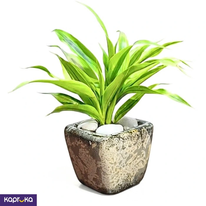 Home Decor and Accessories ef_pc_home0v2762pod00092 in Sri Lanka