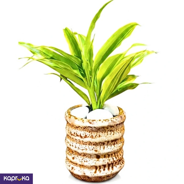Home Decor and Accessories ef_pc_home0v2762pod00093 in Sri Lanka