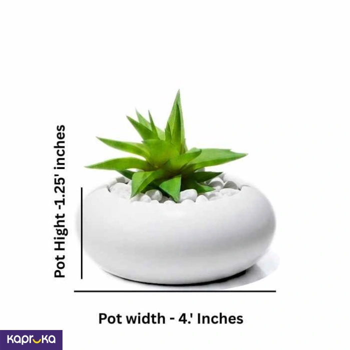 Home Decor and Accessories ef_pc_home0v2762pod00094 in Sri Lanka