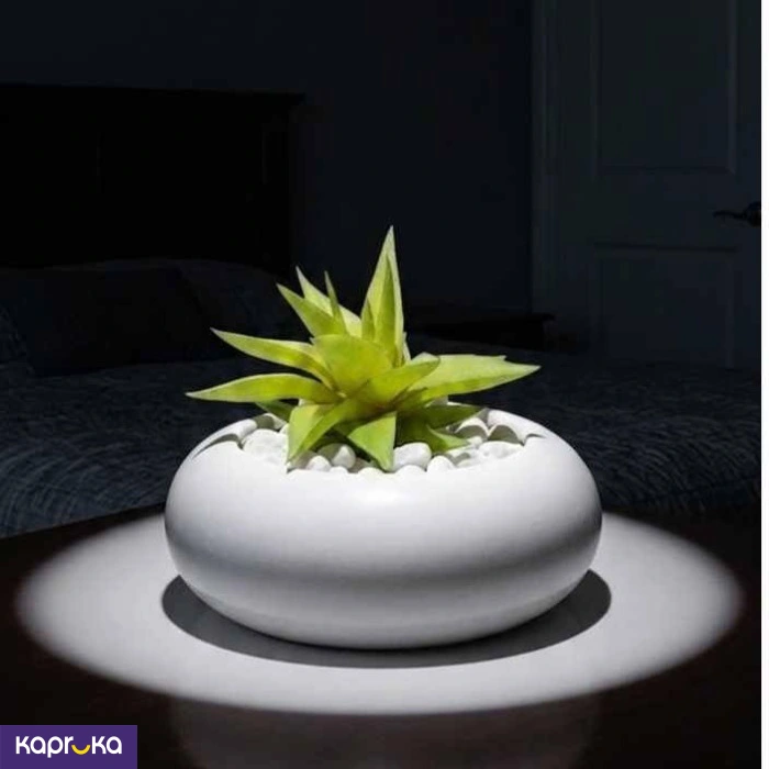 Home Decor and Accessories ef_pc_home0v2762pod00094 in Sri Lanka