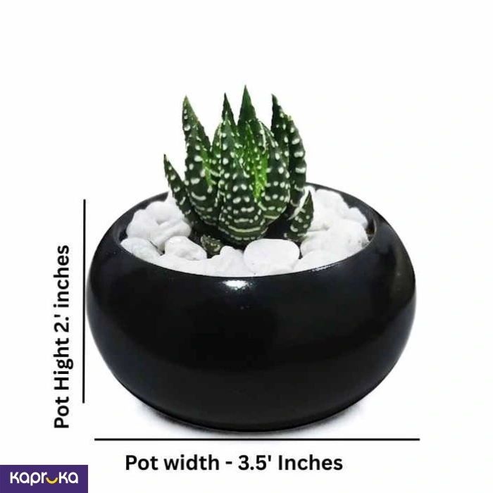 Home Decor and Accessories ef_pc_home0v2762pod00095 in Sri Lanka