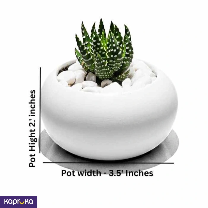 Home Decor and Accessories ef_pc_home0v2762pod00096 in Sri Lanka
