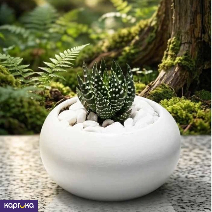 Home Decor and Accessories ef_pc_home0v2762pod00096 in Sri Lanka