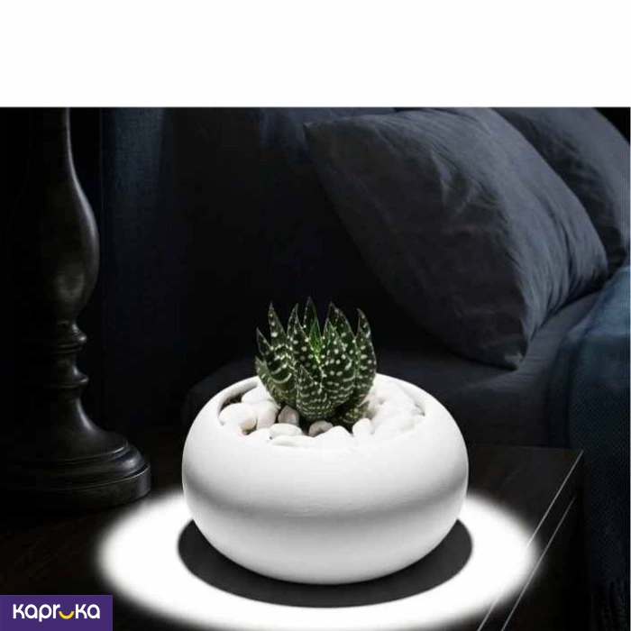 Home Decor and Accessories ef_pc_home0v2762pod00096 in Sri Lanka