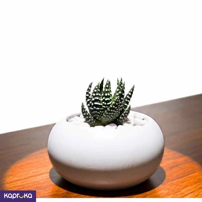 Home Decor and Accessories ef_pc_home0v2762pod00096 in Sri Lanka
