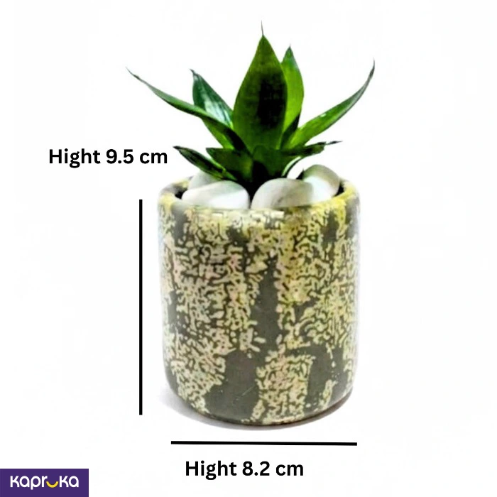 Lava Stone With Senserveria Oxigen Plant