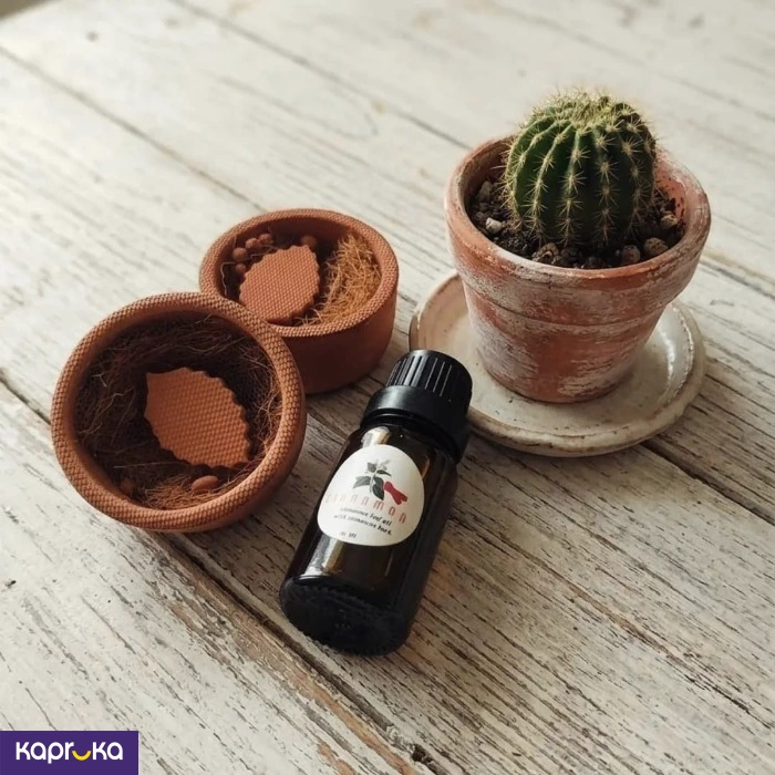 Terra Fragrance Pods With Cinnamon Leaf Oil 10ml