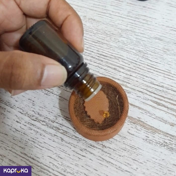 Terra Frgrance Pods With Cinnamon Leaf 10ml Oil