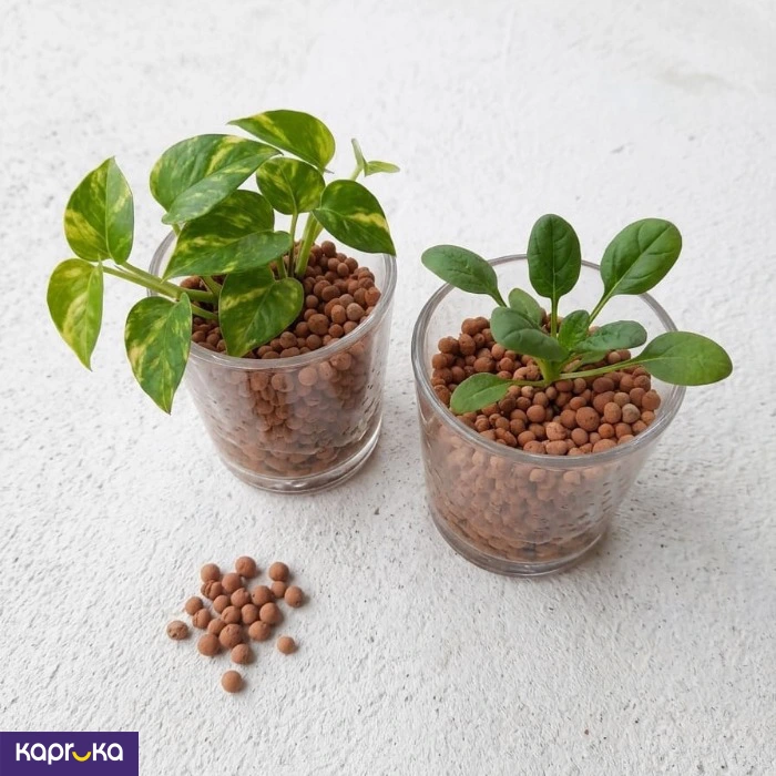 Mini Lecal Balls 400g Pack For Indoor Gardening