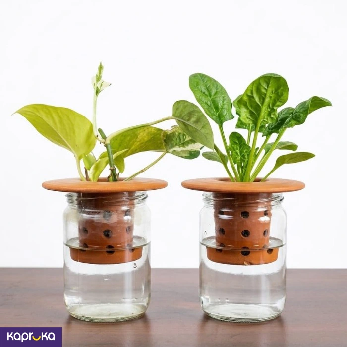 Terra Hydro Planter Set Of Two With Leca Balls