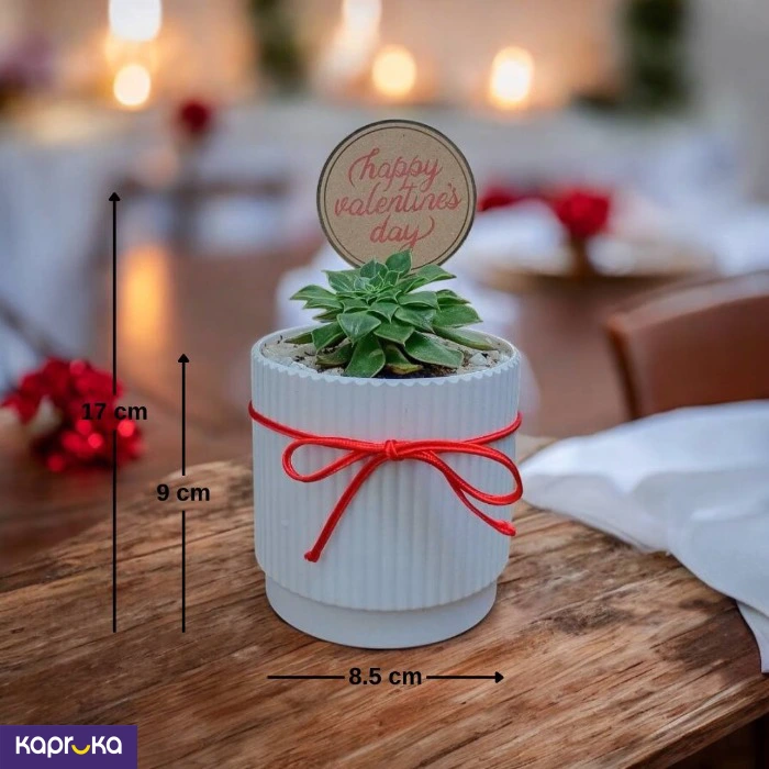 Plants ef_pc_flow0v2817pod00117 in Sri Lanka