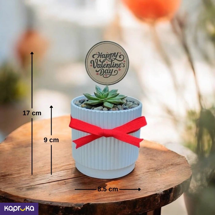 Plants ef_pc_flow0v2817pod00118 in Sri Lanka