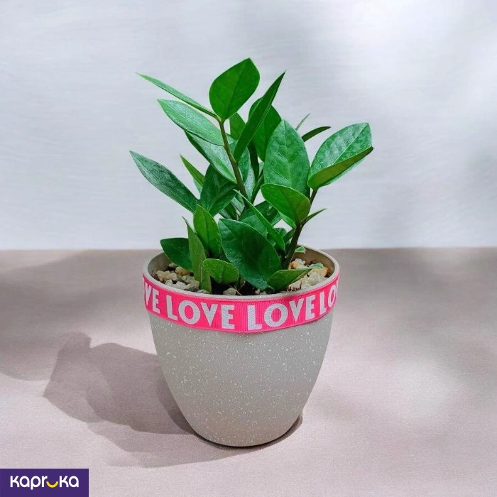 Plants ef_pc_flow0v2817pod00121 in Sri Lanka