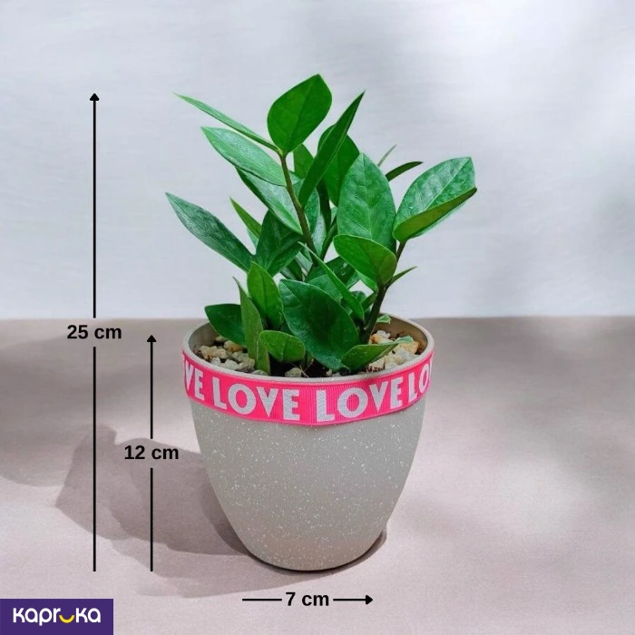 Plants ef_pc_flow0v2817pod00121 in Sri Lanka