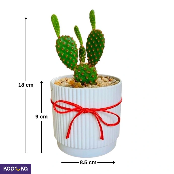 Plants ef_pc_flow0v2817pod00140 in Sri Lanka