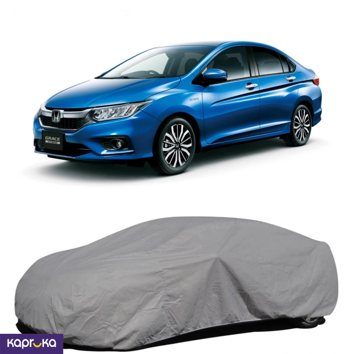 Micro Baic D20 Car Cover