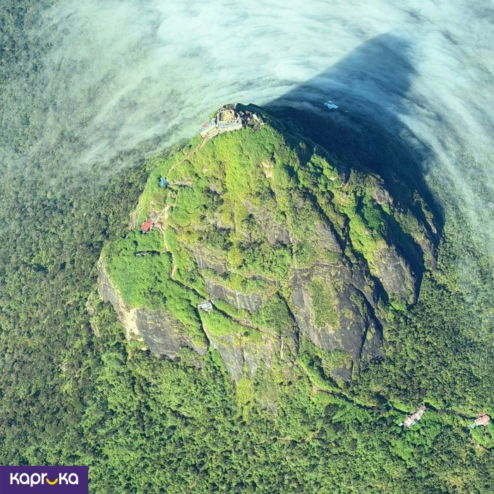 Travel and Transport Services ef_pc_serv0v4809p00002 in Sri Lanka