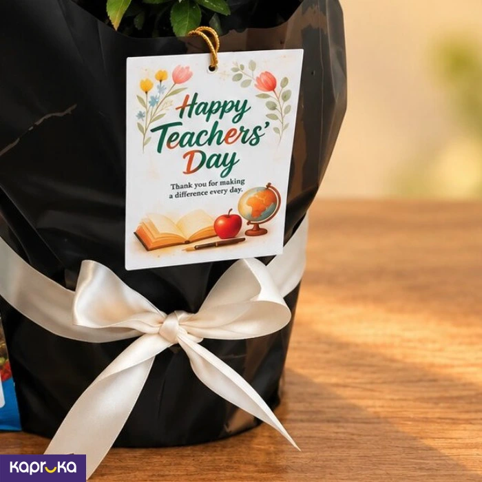 Teachers Day White Rose Plant Gift With Fertiliser