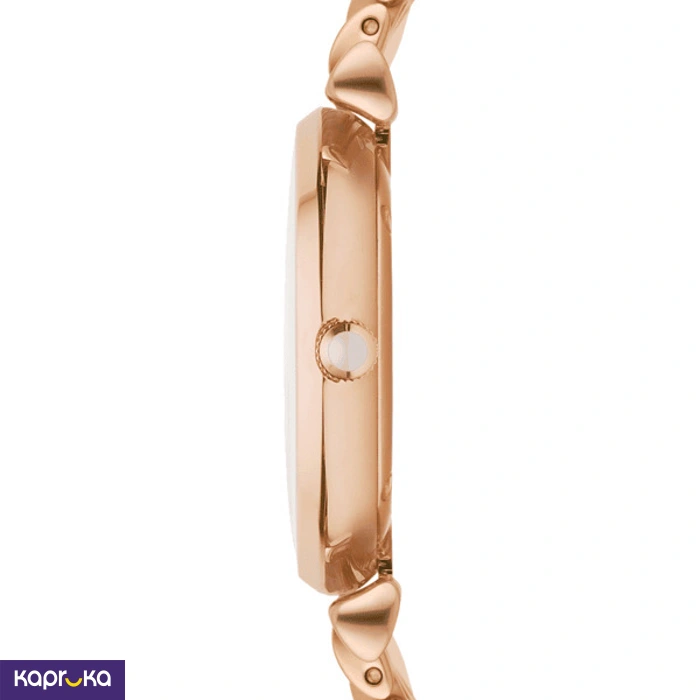 EMPORIO ARMANI AR1909 LADIES WATCHES