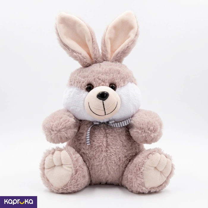 Cute Bunny Ears Teddy Bear Plush Toy 12 Inches