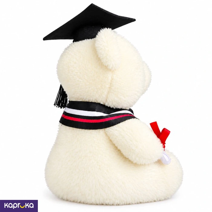 White Graduation Teddy Bear Congratulations Gift 11 Inches