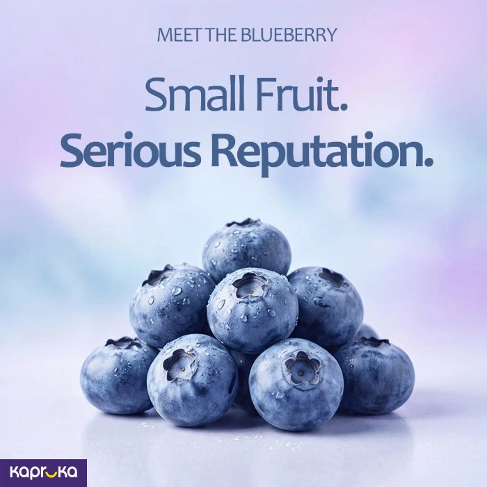 Snow Farms Whole Dried Blueberries Premium Canadian Berries 120g