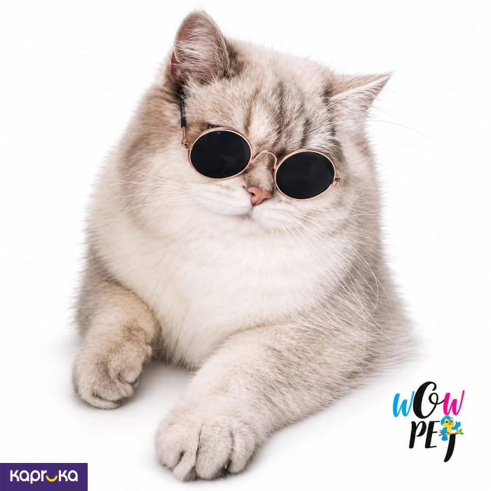 Cat Sunglass