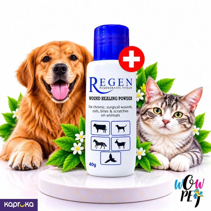 REGEN Wound Healing Powder 40g