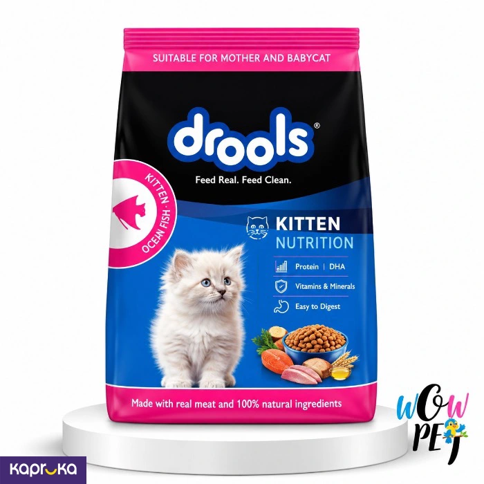 Drools Cat Food Kitten Ocean Fish 4kg
