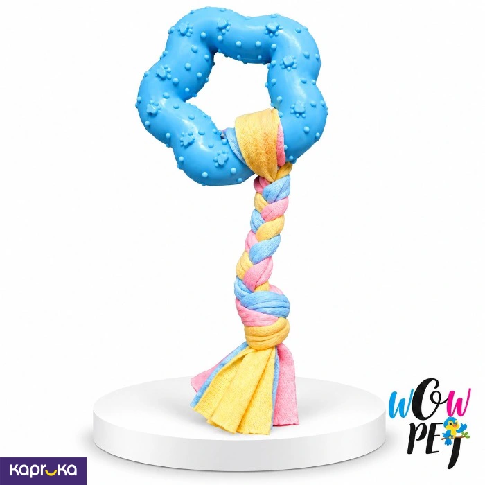 Star With Cloth Tail Toy For Dogs