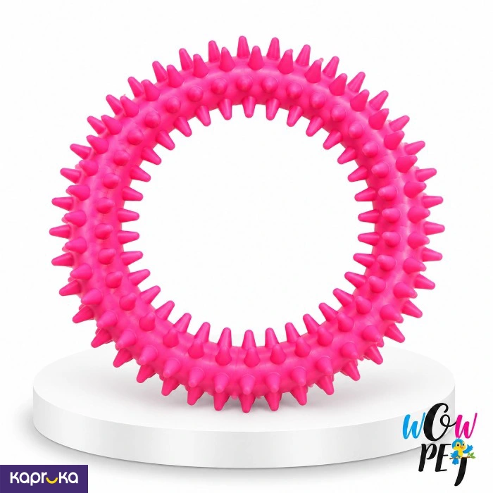 Single Colour Small Cercle Toy For Dogs