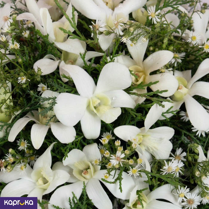 Orchid Mist Posy