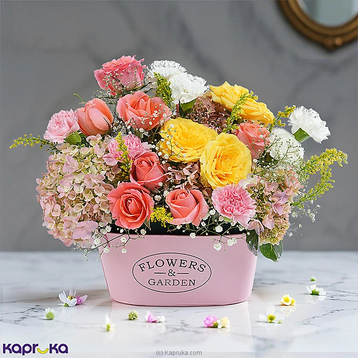 Flowers flowers00t1841 in Sri Lanka