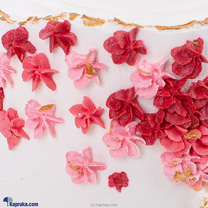 Cakes cake00ka001617 in Sri Lanka