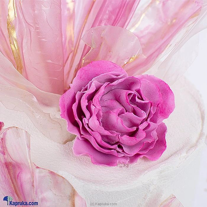 Cakes cake00ka001620 in Sri Lanka