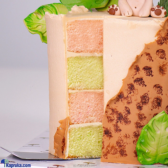 Cakes cake00KA001668_TC1 in Sri Lanka