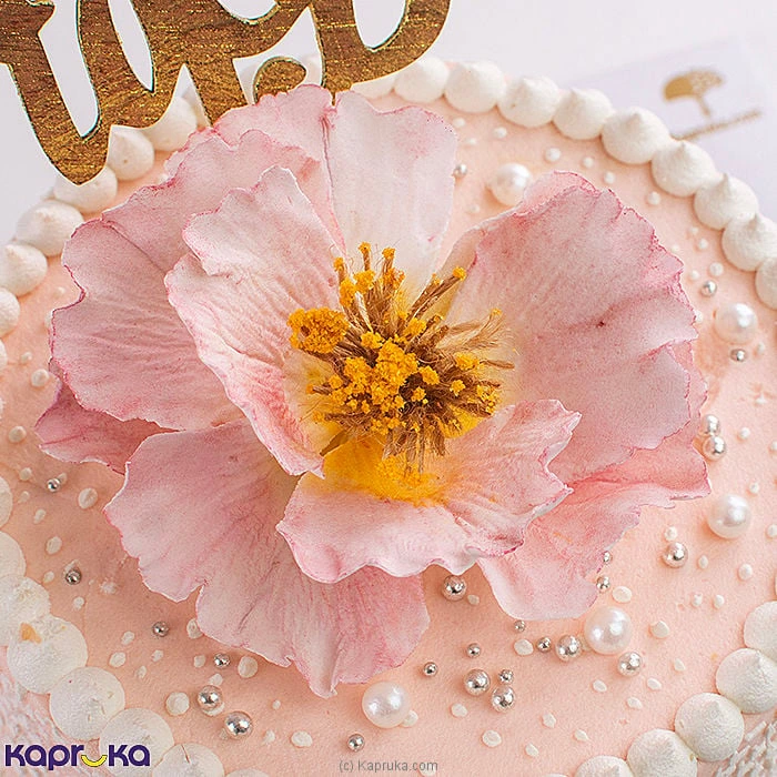 Cakes cake00ka001757 in Sri Lanka