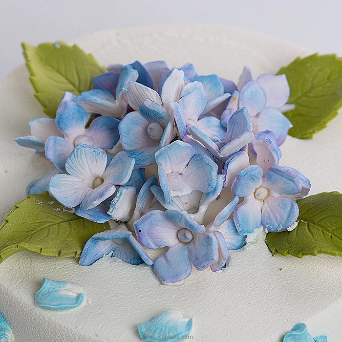 Cakes cake00ka001887 in Sri Lanka