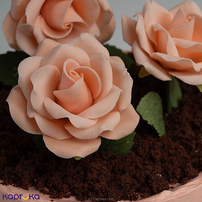 Cakes cake00ka002144 in Sri Lanka