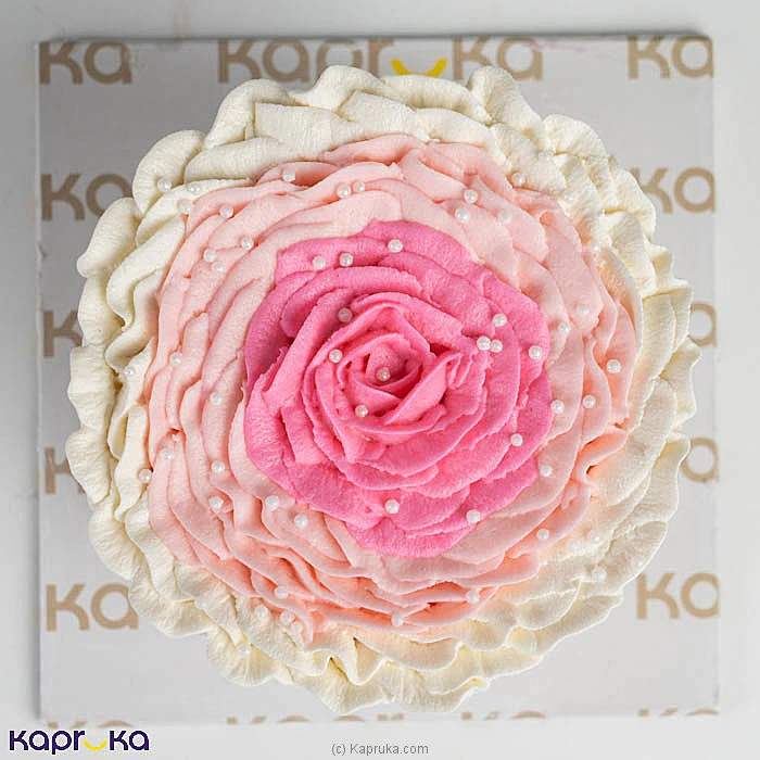 Pink Rosette Ribbon Bento Cake
